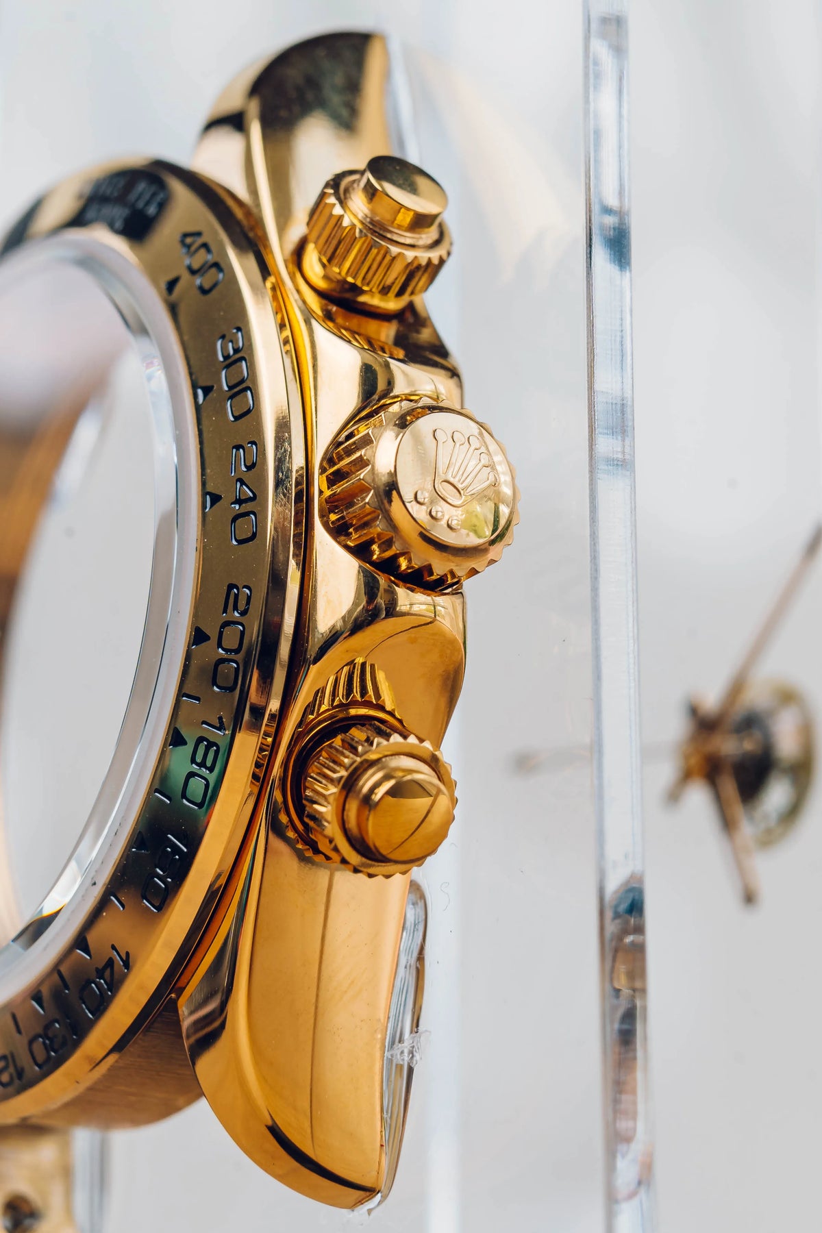 TIMELESS / 010 - Mayer Limited